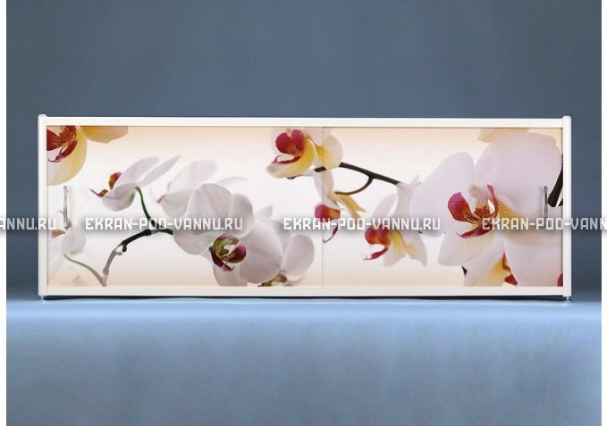 Раздвижной ФОТО экран - Orchid – купить по цене 8500 руб. в интернет-магазине в городе Казань картинка 1
