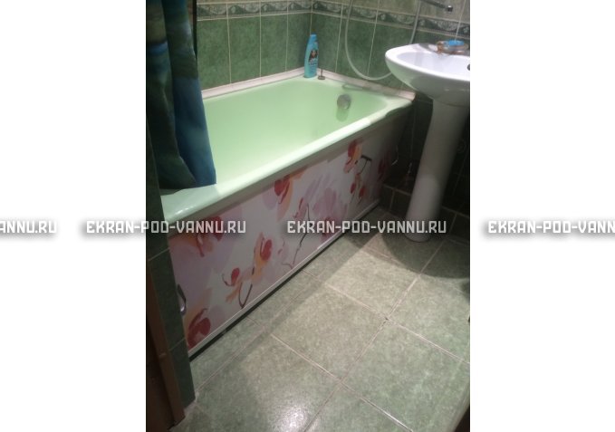 Раздвижной ФОТО экран - Orchid – купить по цене 8500 руб. в интернет-магазине в городе Казань картинка 5