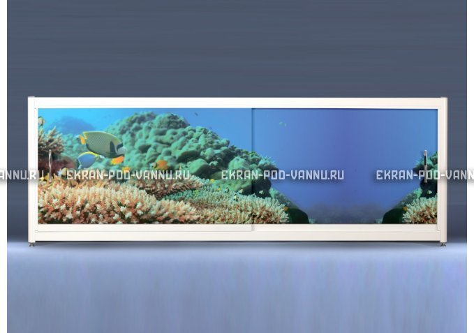 Экран на роликах EUROPLEX Коралловые рифы – купить по цене 12400 руб. в интернет-магазине в городе Казань картинка 1